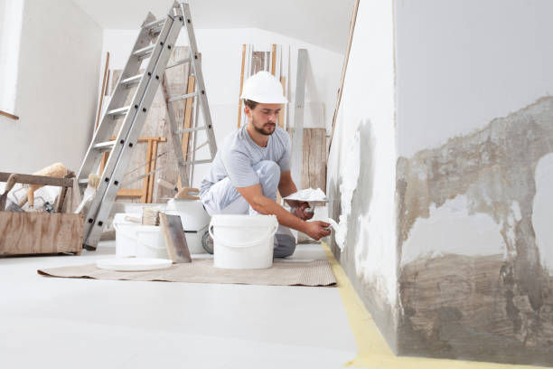 Best Water Damage & Mold Remediation  in Norwalk, OH