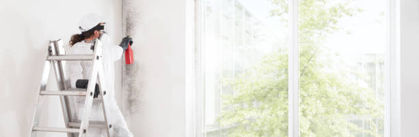 Best Mold-Related Health Consultation  in Norwalk, OH