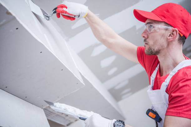 Best Airborne Mold Testing  in Norwalk, OH